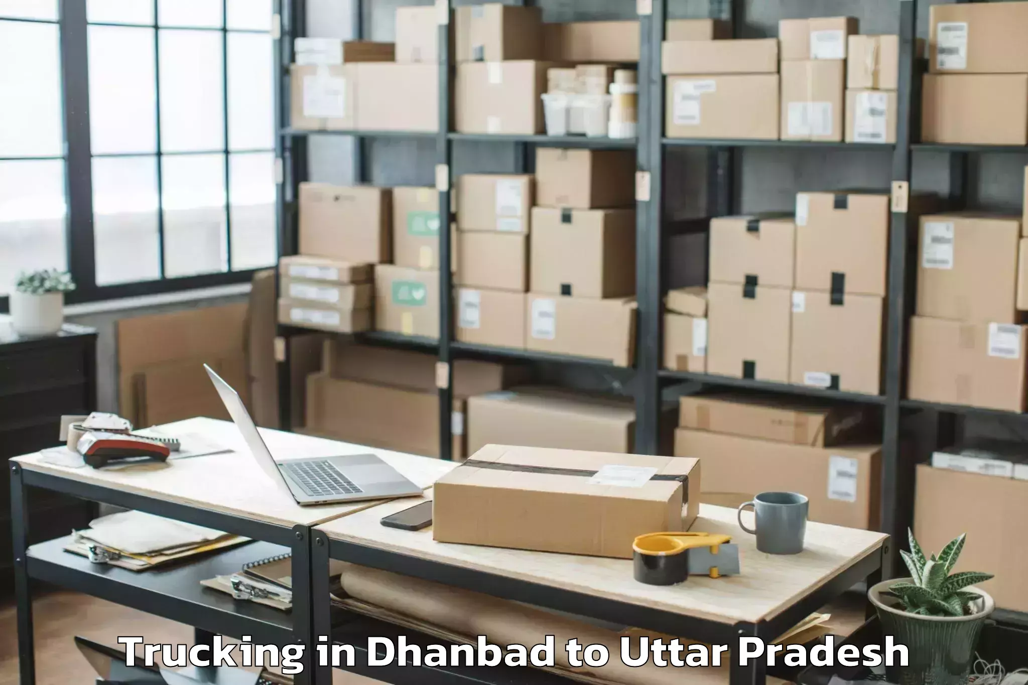 Book Dhanbad to Phoolpur Trucking Online